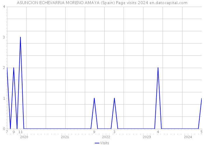 ASUNCION ECHEVARRIA MORENO AMAYA (Spain) Page visits 2024 