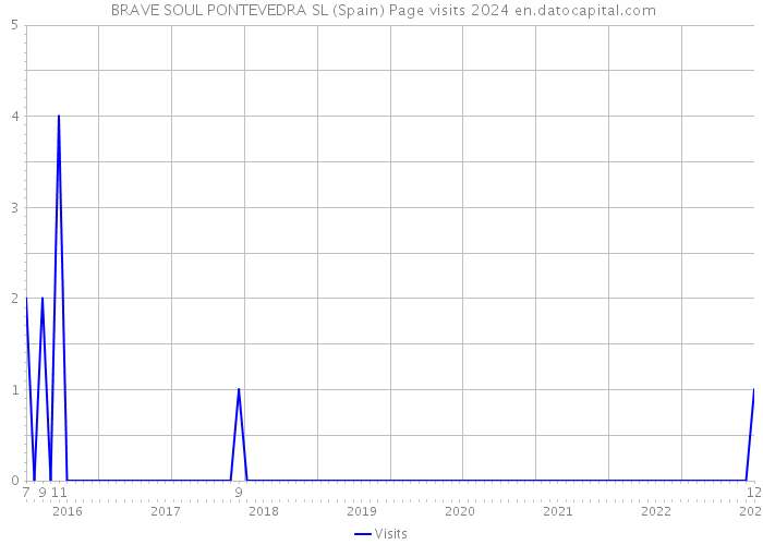  BRAVE SOUL PONTEVEDRA SL (Spain) Page visits 2024 