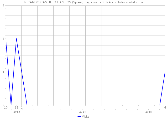 RICARDO CASTILLO CAMPOS (Spain) Page visits 2024 