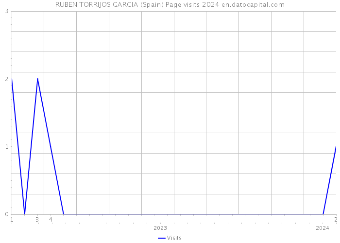 RUBEN TORRIJOS GARCIA (Spain) Page visits 2024 