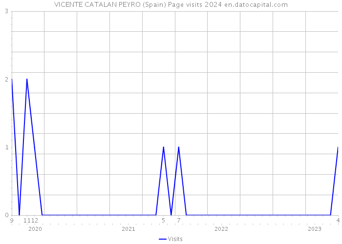 VICENTE CATALAN PEYRO (Spain) Page visits 2024 