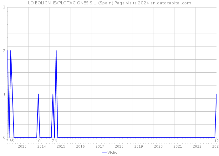 LO BOLIGNI EXPLOTACIONES S.L. (Spain) Page visits 2024 