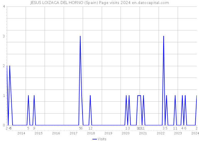 JESUS LOIZAGA DEL HORNO (Spain) Page visits 2024 