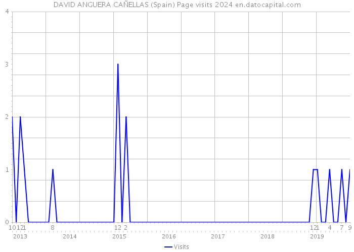 DAVID ANGUERA CAÑELLAS (Spain) Page visits 2024 