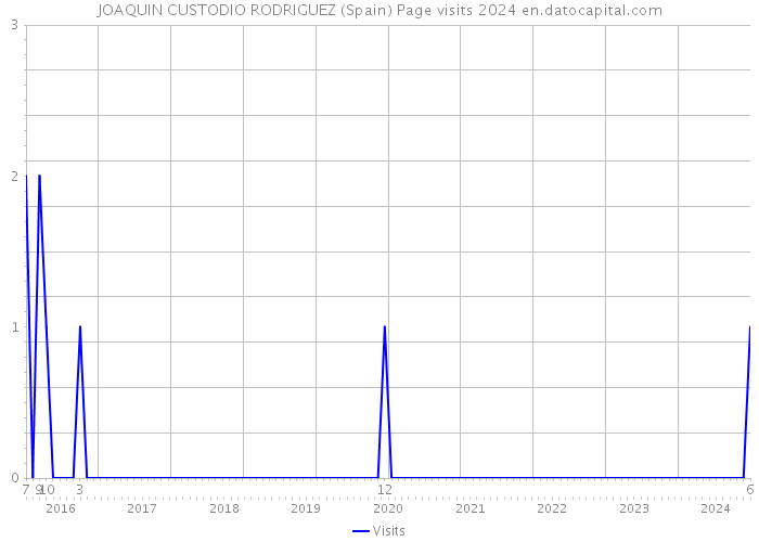 JOAQUIN CUSTODIO RODRIGUEZ (Spain) Page visits 2024 