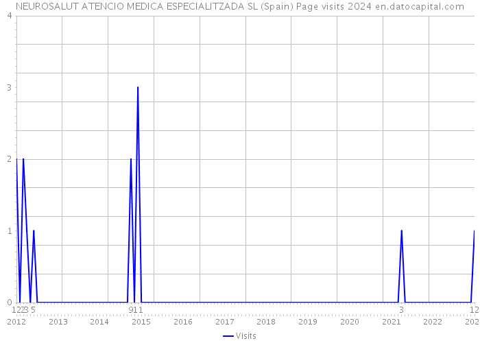 NEUROSALUT ATENCIO MEDICA ESPECIALITZADA SL (Spain) Page visits 2024 