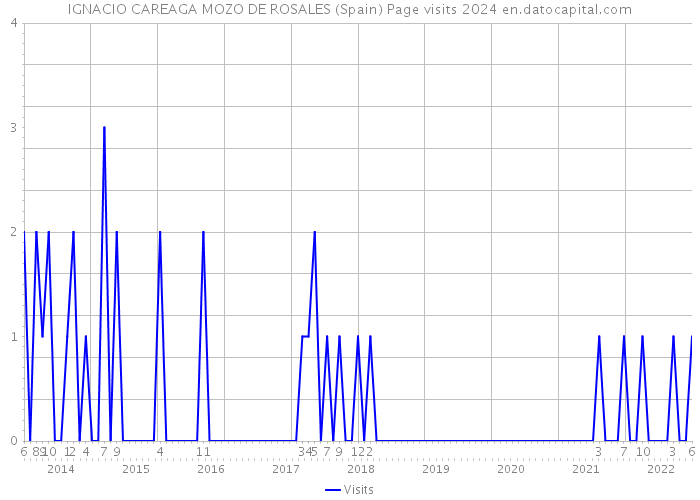 IGNACIO CAREAGA MOZO DE ROSALES (Spain) Page visits 2024 
