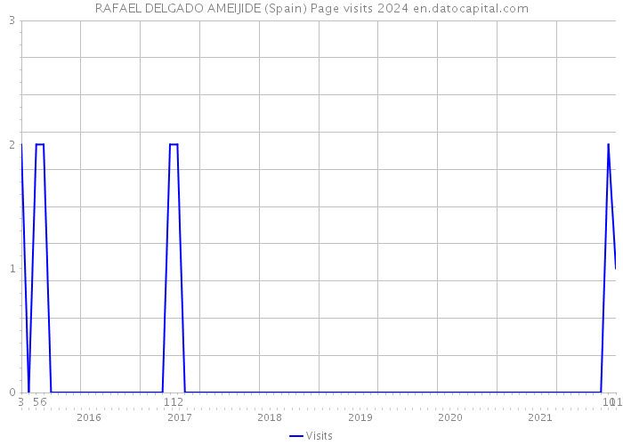 RAFAEL DELGADO AMEIJIDE (Spain) Page visits 2024 
