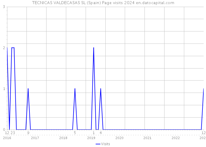 TECNICAS VALDECASAS SL (Spain) Page visits 2024 