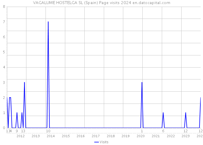 VAGALUME HOSTELGA SL (Spain) Page visits 2024 