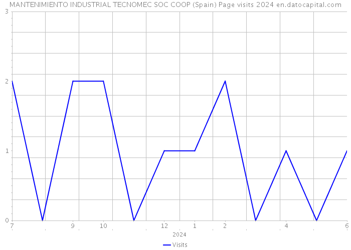 MANTENIMIENTO INDUSTRIAL TECNOMEC SOC COOP (Spain) Page visits 2024 