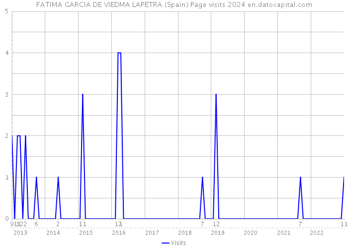 FATIMA GARCIA DE VIEDMA LAPETRA (Spain) Page visits 2024 