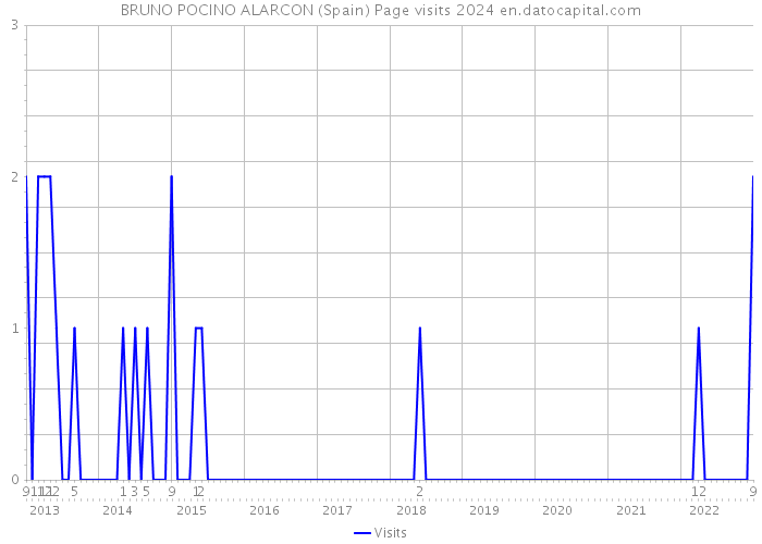 BRUNO POCINO ALARCON (Spain) Page visits 2024 