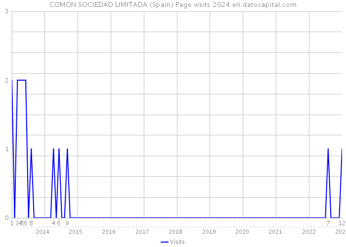 COMON SOCIEDAD LIMITADA (Spain) Page visits 2024 