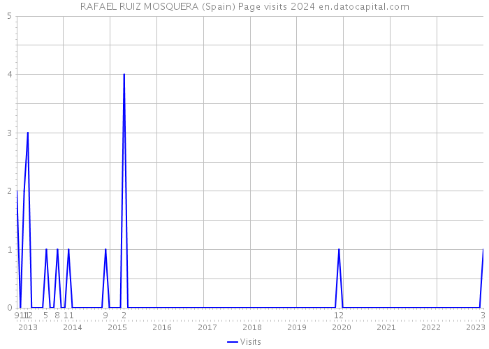 RAFAEL RUIZ MOSQUERA (Spain) Page visits 2024 