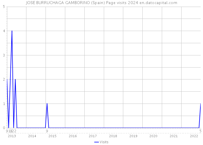 JOSE BURRUCHAGA GAMBORINO (Spain) Page visits 2024 