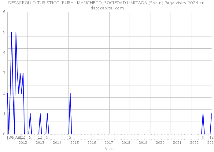 DESARROLLO TURISTICO-RURAL MANCHEGO, SOCIEDAD LIMITADA (Spain) Page visits 2024 