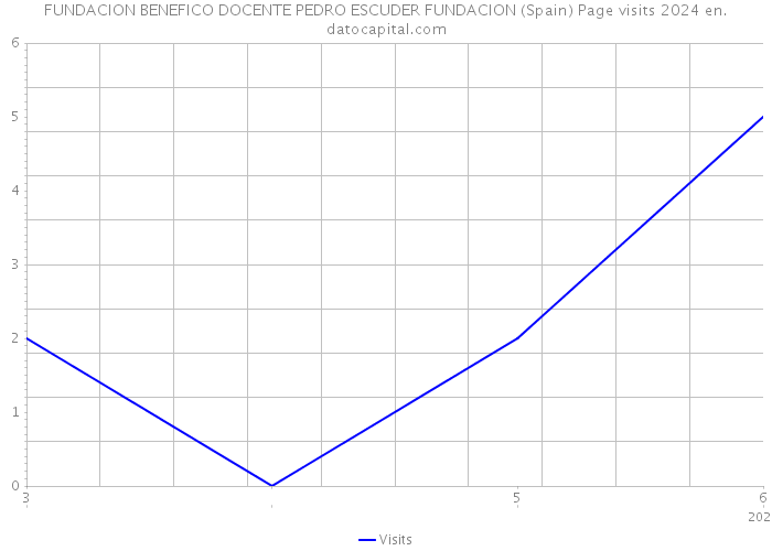 FUNDACION BENEFICO DOCENTE PEDRO ESCUDER FUNDACION (Spain) Page visits 2024 