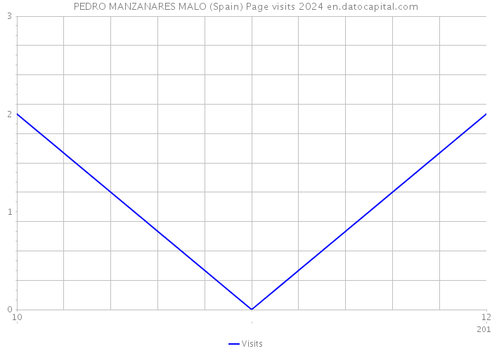 PEDRO MANZANARES MALO (Spain) Page visits 2024 
