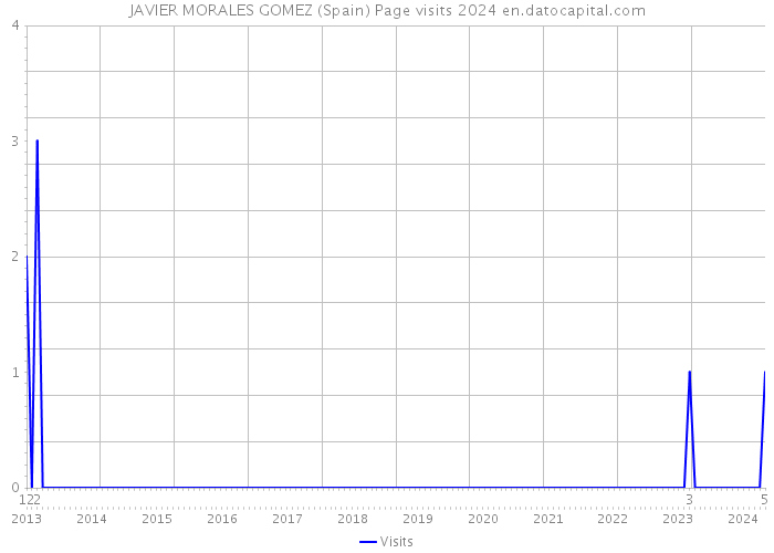 JAVIER MORALES GOMEZ (Spain) Page visits 2024 