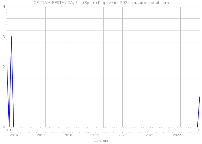 CELTIAM RESTAURA, S.L. (Spain) Page visits 2024 