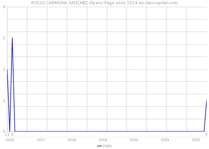 ROCIO CARMONA SANCHEZ (Spain) Page visits 2024 