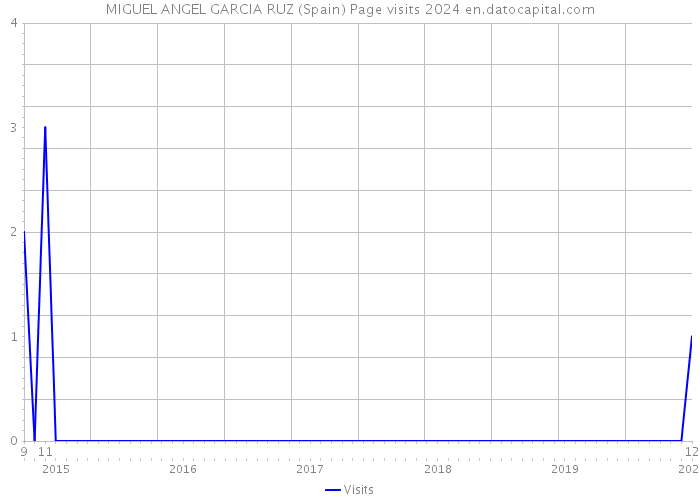 MIGUEL ANGEL GARCIA RUZ (Spain) Page visits 2024 