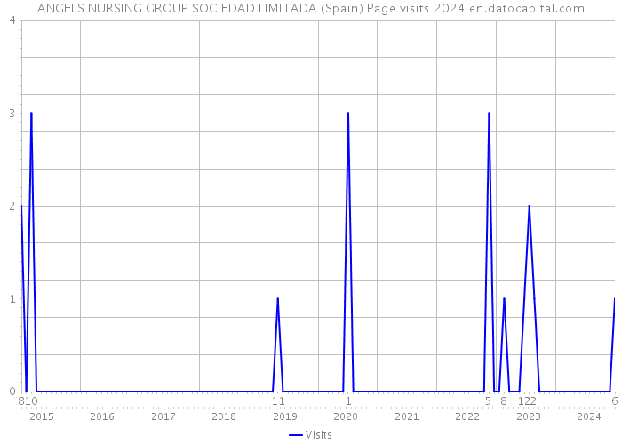 ANGELS NURSING GROUP SOCIEDAD LIMITADA (Spain) Page visits 2024 