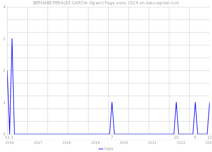 BERNABE PERALES GARCIA (Spain) Page visits 2024 