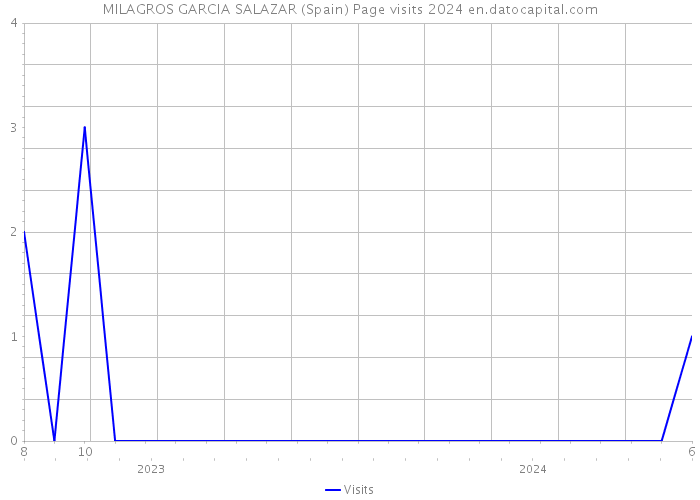MILAGROS GARCIA SALAZAR (Spain) Page visits 2024 