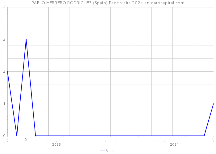 PABLO HERRERO RODRIGUEZ (Spain) Page visits 2024 