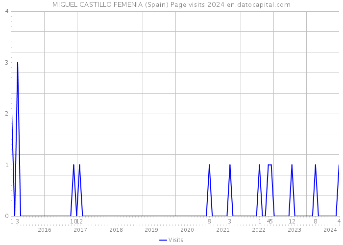MIGUEL CASTILLO FEMENIA (Spain) Page visits 2024 