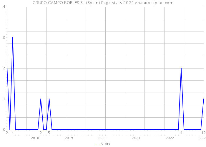 GRUPO CAMPO ROBLES SL (Spain) Page visits 2024 