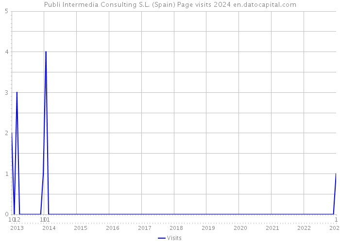 Publi Intermedia Consulting S.L. (Spain) Page visits 2024 