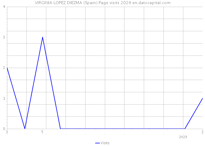 VIRGINIA LOPEZ DIEZMA (Spain) Page visits 2024 