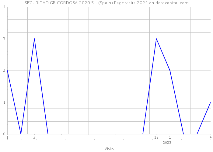 SEGURIDAD GR CORDOBA 2020 SL. (Spain) Page visits 2024 