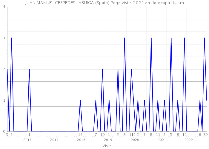 JUAN MANUEL CESPEDES LABUIGA (Spain) Page visits 2024 