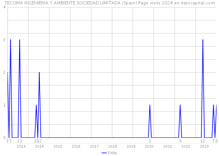 TECOMA INGENIERIA Y AMBIENTE SOCIEDAD LIMITADA (Spain) Page visits 2024 