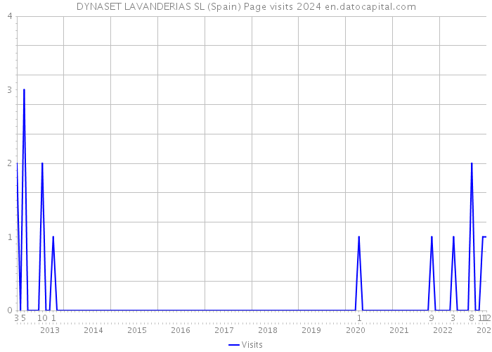 DYNASET LAVANDERIAS SL (Spain) Page visits 2024 