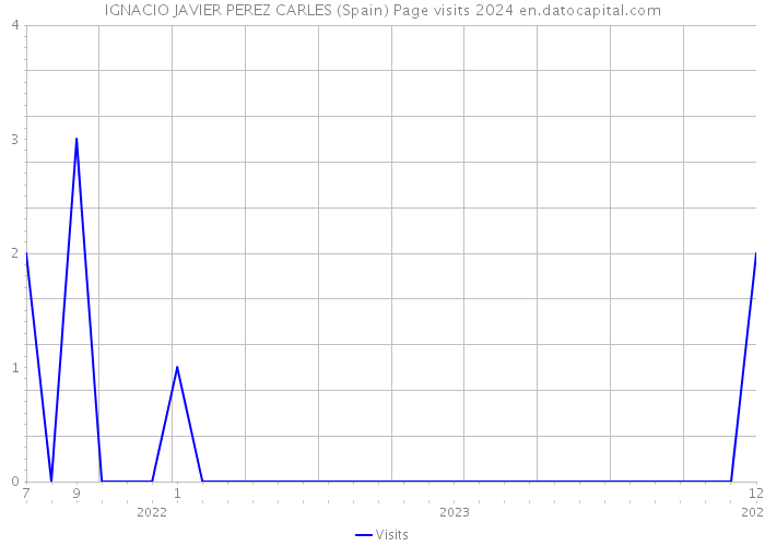 IGNACIO JAVIER PEREZ CARLES (Spain) Page visits 2024 