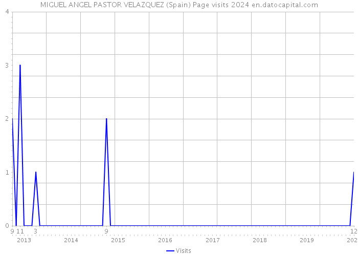 MIGUEL ANGEL PASTOR VELAZQUEZ (Spain) Page visits 2024 