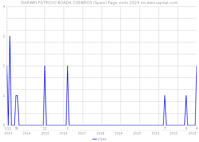 DARWIN PATRICIO BOADA CISNEROS (Spain) Page visits 2024 