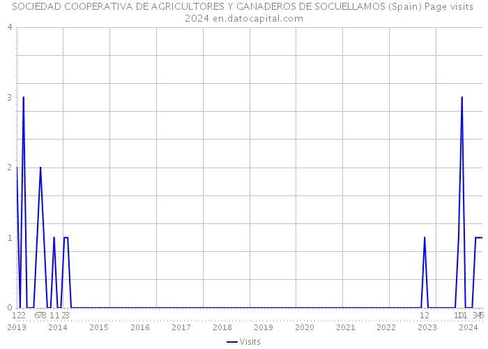 SOCIEDAD COOPERATIVA DE AGRICULTORES Y GANADEROS DE SOCUELLAMOS (Spain) Page visits 2024 