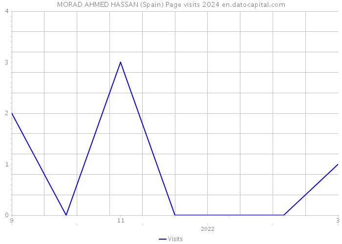 MORAD AHMED HASSAN (Spain) Page visits 2024 