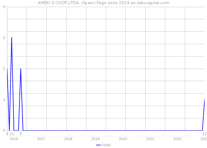 AMEKI S.COOP.LTDA. (Spain) Page visits 2024 