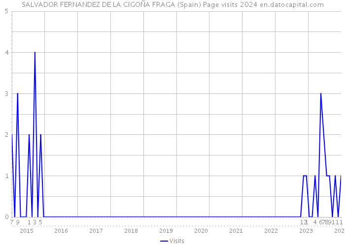 SALVADOR FERNANDEZ DE LA CIGOÑA FRAGA (Spain) Page visits 2024 