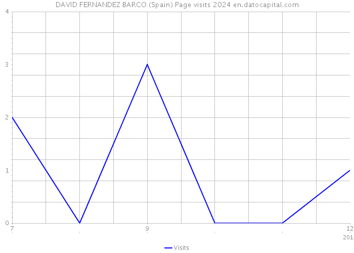 DAVID FERNANDEZ BARCO (Spain) Page visits 2024 