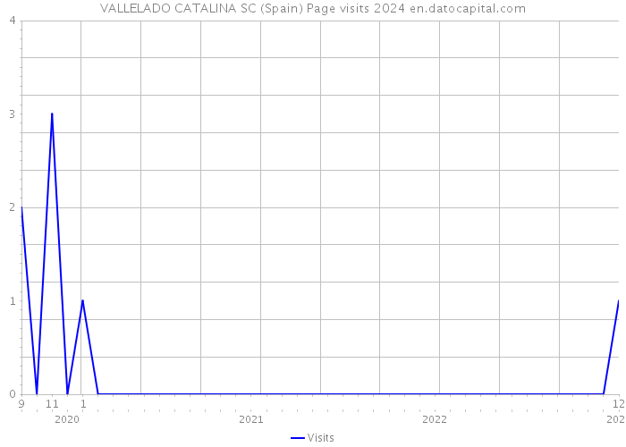 VALLELADO CATALINA SC (Spain) Page visits 2024 