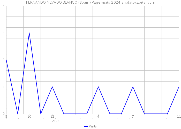 FERNANDO NEVADO BLANCO (Spain) Page visits 2024 