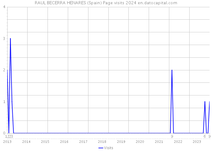 RAUL BECERRA HENARES (Spain) Page visits 2024 